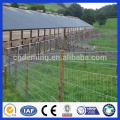 DM hot sale HDG Field Fence ( Anping factory )